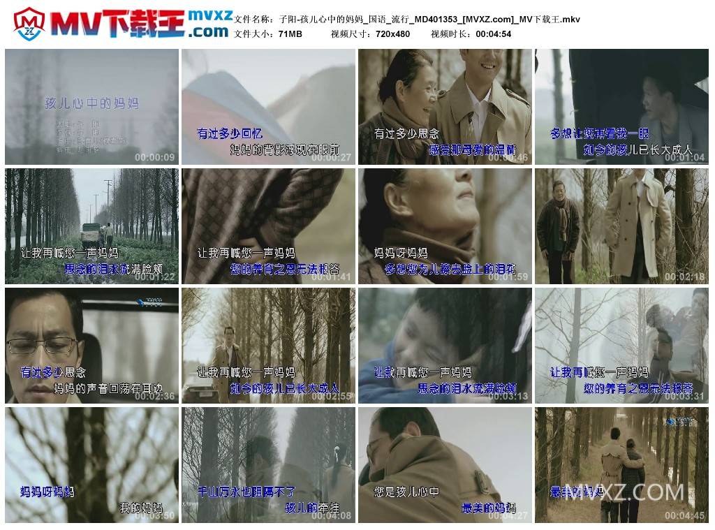 子阳-孩儿心中的妈妈_国语_流行_MD401353